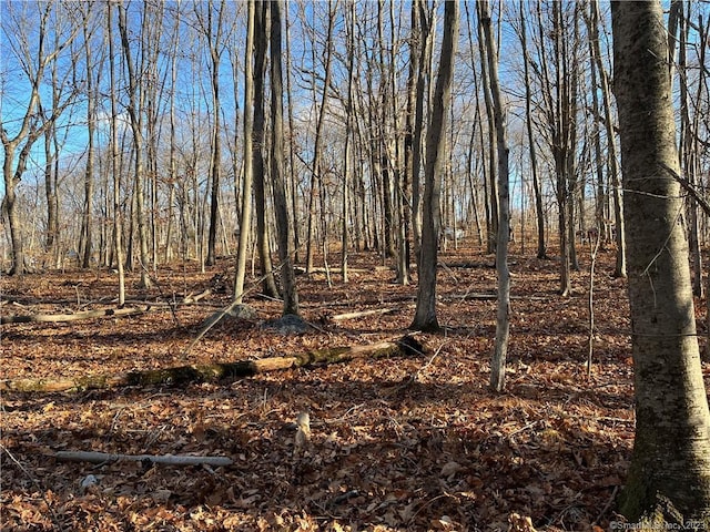 54 Northrop Rd, Woodbridge, CT 06525