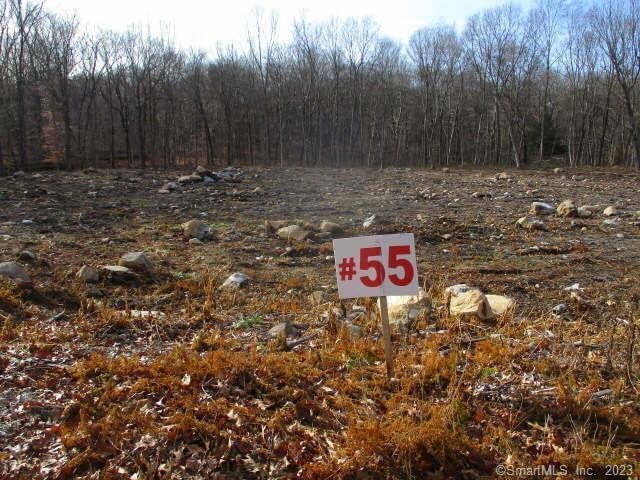 54 Northrop Rd, Woodbridge, CT 06525