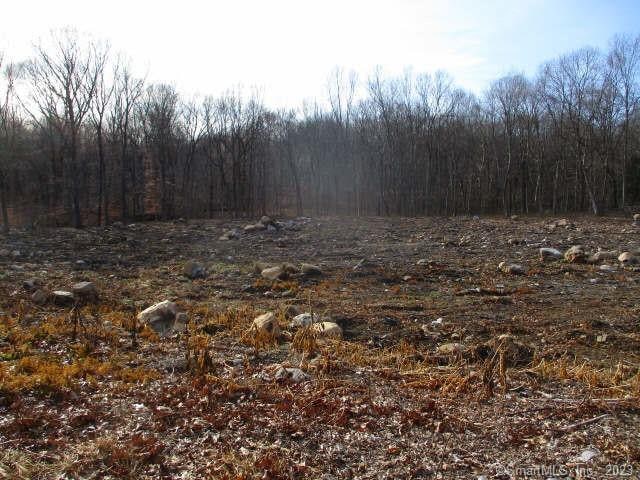 54 Northrop Rd, Woodbridge, CT 06525