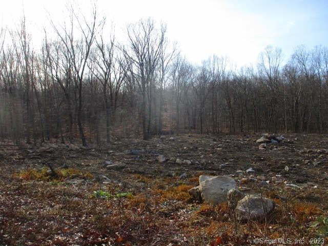 54 Northrop Rd, Woodbridge, CT 06525