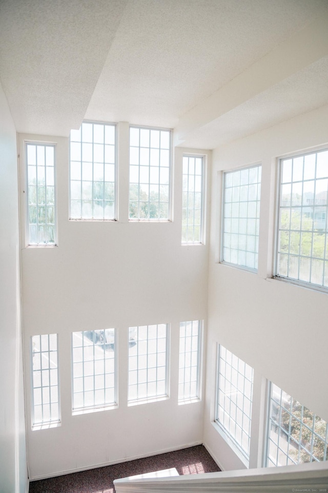 15 Forest Glen Cir Unit 19, Middletown, CT 06419 - unfurnished room with plenty of natural light and carpet floors