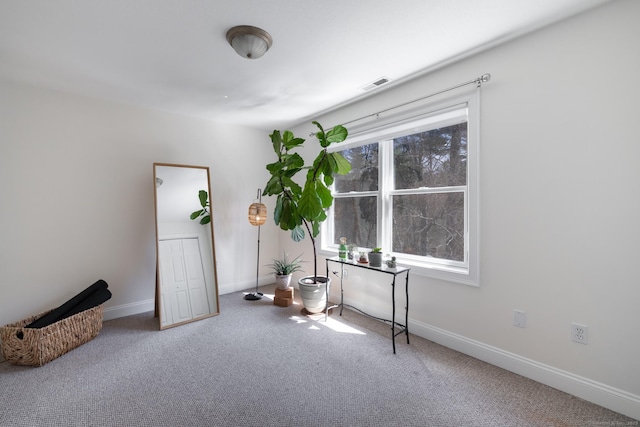 office featuring carpet floors, visible vents, and baseboards