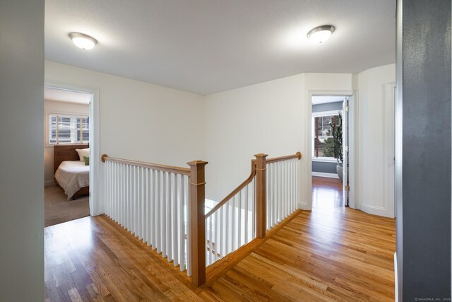 hall featuring plenty of natural light, baseboards, wood finished floors, and an upstairs landing