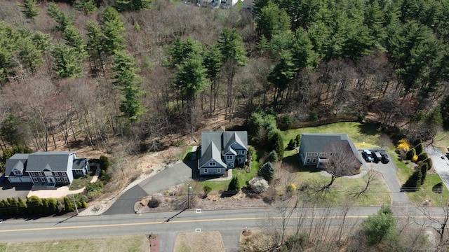 drone / aerial view