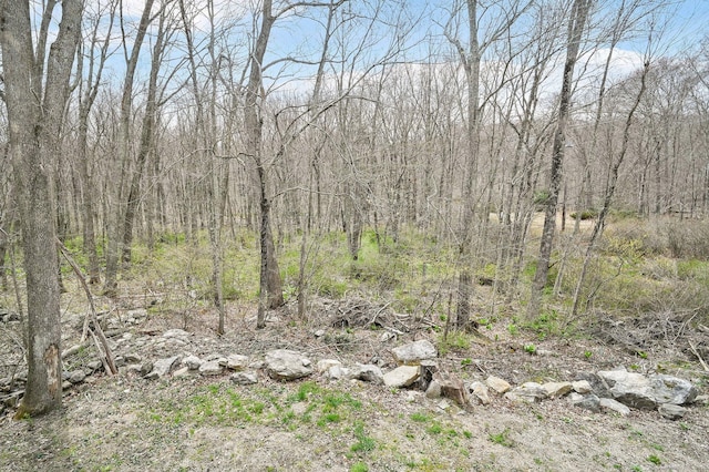 378 Rte 87, Columbia, CT 06237 - view of local wilderness