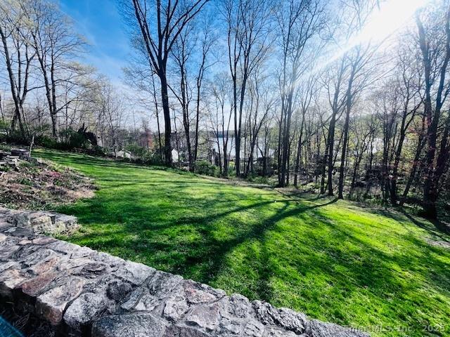 37 Fulton Dr, New Fairfield, CT 06812 - view of grassy yard