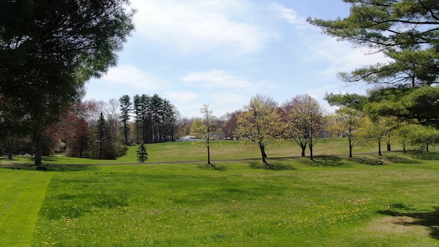 view of property's community with a lawn