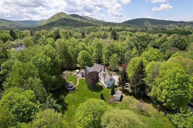 8 Twixt Rd, Cornwall, CT 06753 - view of subject property with a heavily wooded area and a mountainous background