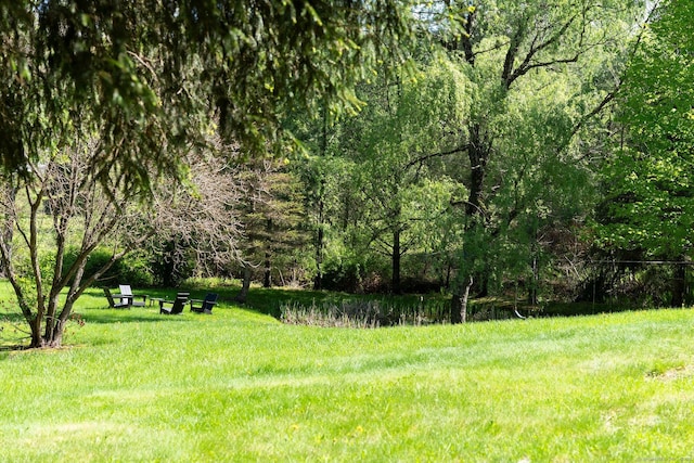 8 Twixt Rd, Cornwall, CT 06753 - view of yard featuring a forest view