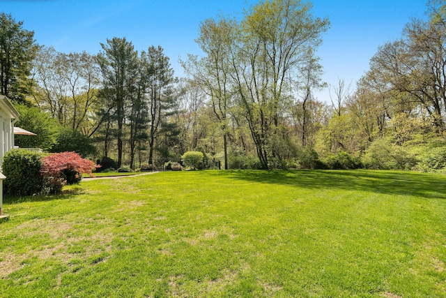 7 Tunxis Trl, Redding, CT 06896 - view of yard