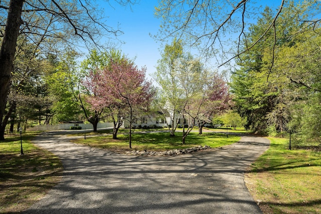 7 Tunxis Trl, Redding, CT 06896 - surrounding community featuring a lawn and aphalt driveway