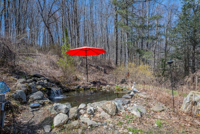 98 Aetna Ave, Torrington, CT 06790 - view of yard