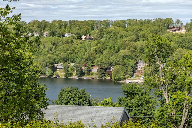 11 Summer Hill Rd, New Fairfield, CT 06812 - water view featuring a heavily wooded area