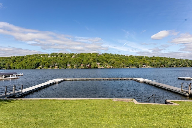 11 Summer Hill Rd, New Fairfield, CT 06812 - dock area with a water view, a forest view, and a yard