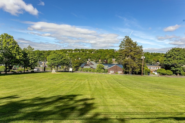 11 Summer Hill Rd, New Fairfield, CT 06812 - view of grassy yard