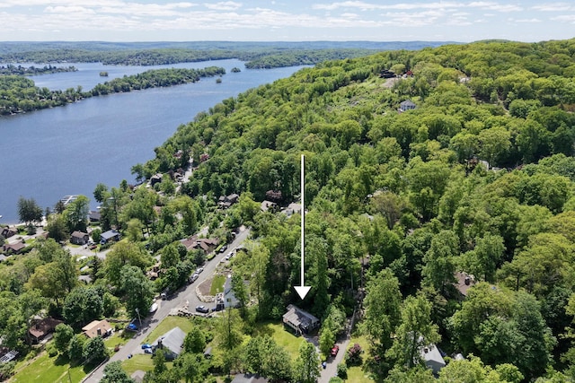 11 Summer Hill Rd, New Fairfield, CT 06812 - aerial view of property and surrounding area with a heavily wooded area, a nearby body of water, and property parcel outlined