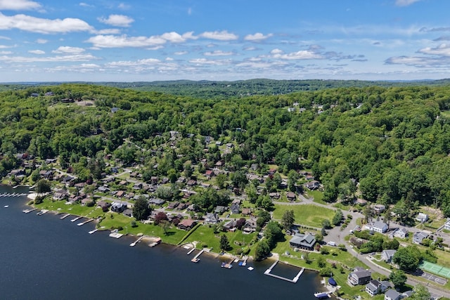 11 Summer Hill Rd, New Fairfield, CT 06812 - drone / aerial view of a heavily wooded area and a nearby body of water
