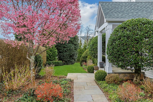 13 Bryan Rd, Norwalk, CT 06853 - view of grassy yard