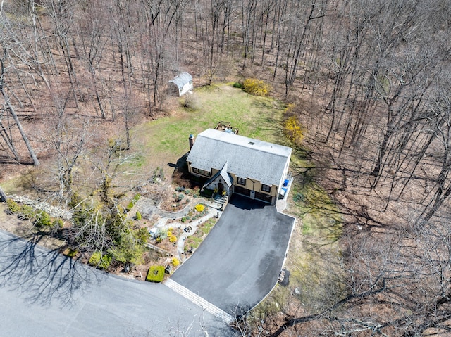 drone / aerial view
