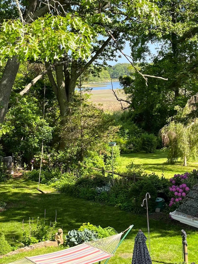 6 Rogers Dr, Stonington, CT 06355 - view of green lawn with a water view