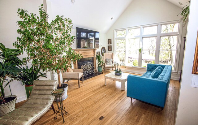6 Rogers Dr, Stonington, CT 06355 - living room with high vaulted ceiling, a fireplace with flush hearth, and wood-type flooring