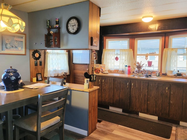 interior space featuring dark brown cabinets, a sink, light wood-style flooring, and plenty of natural light
