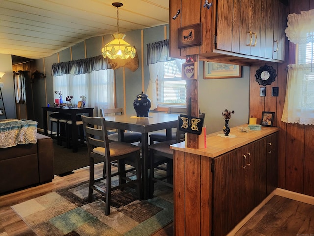 dining room featuring wood walls, dark wood-type flooring, and plenty of natural light
