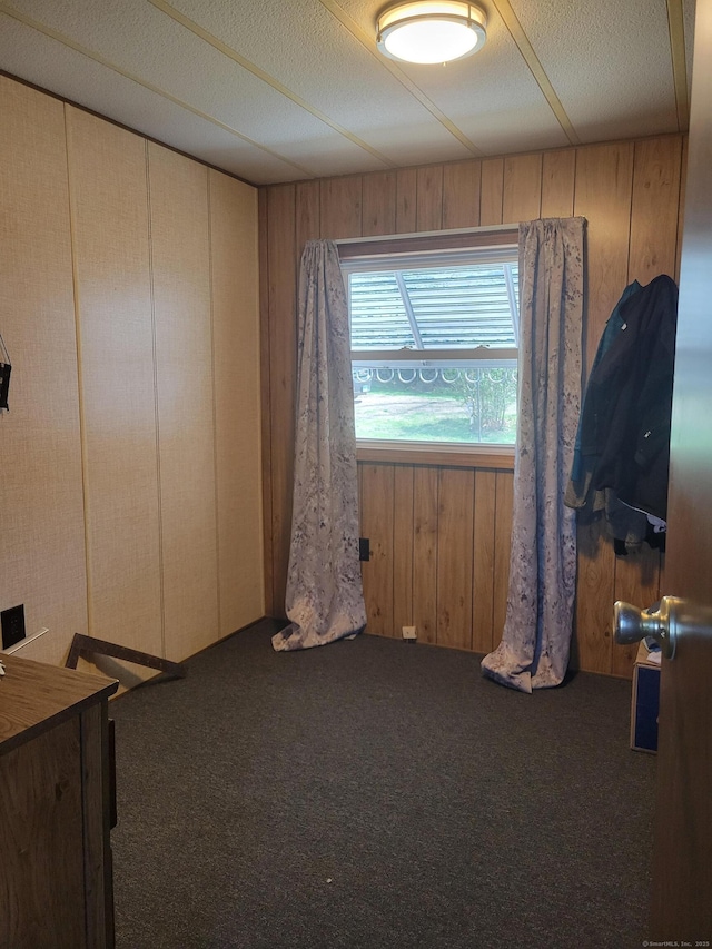 interior space with wood walls