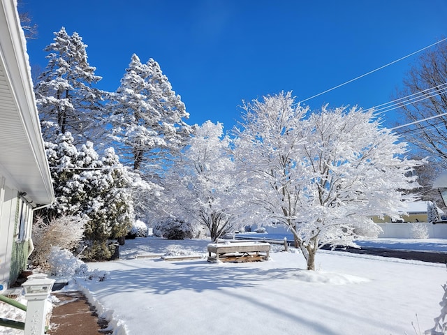 38 Somerset Dr, Manchester, CT 06040 - view of yard layered in snow