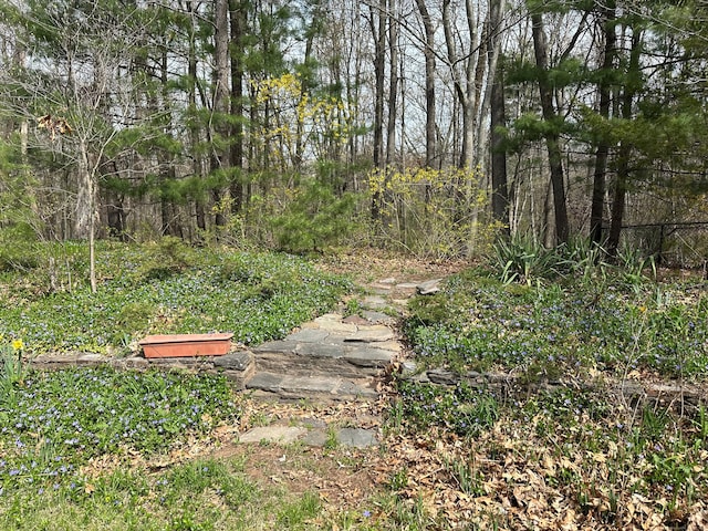 38 Somerset Dr, Manchester, CT 06040 - view of yard