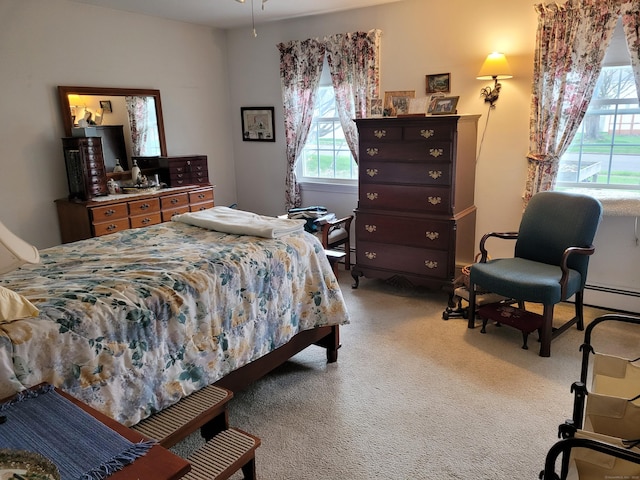 38 Somerset Dr, Manchester, CT 06040 - view of carpeted bedroom