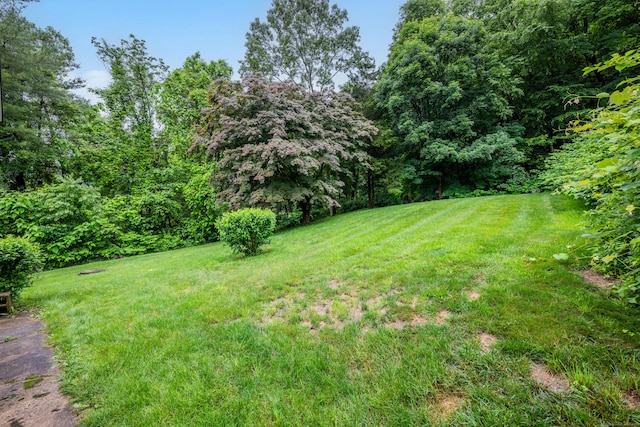 310 Lakeview Ave, Seymour, CT 06483 - photo 24