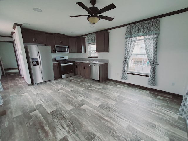 kitchen featuring ceiling fan, dark brown cabinetry, ornamental molding, appliances with stainless steel finishes, and light wood finished floors