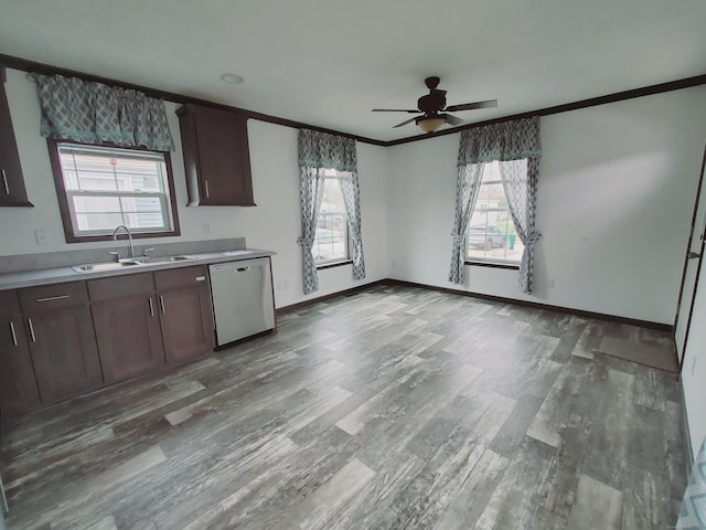 kitchen featuring ceiling fan, a wealth of natural light, wood finished floors, dishwasher, and a sink