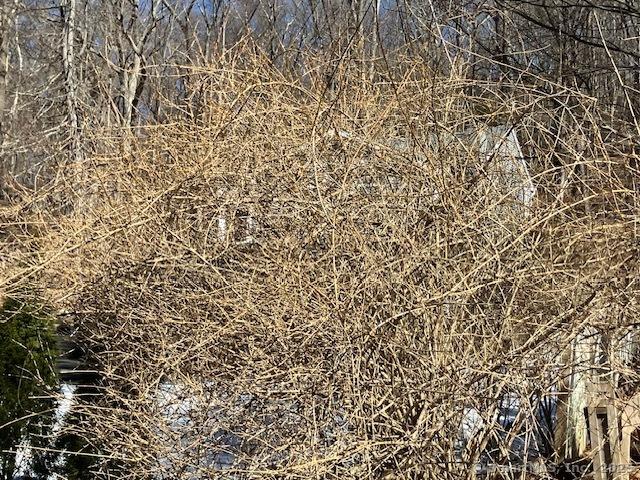 1 Parsons Dr, Waterbury, CT 06708