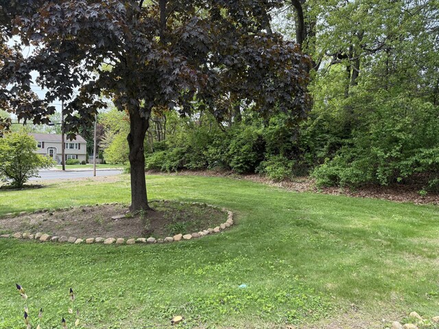 278 Dudley Town Rd, Windsor, CT 06095 - view of grassy yard