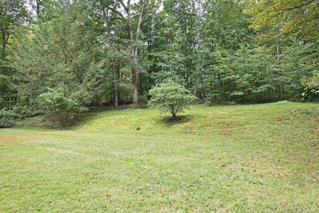 45 Wayside Ln, Redding, CT 06896 - view of green lawn with a view of trees