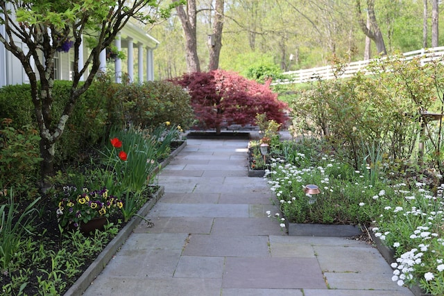 37 Giles Hill Rd, Redding, CT 06896 - view of yard