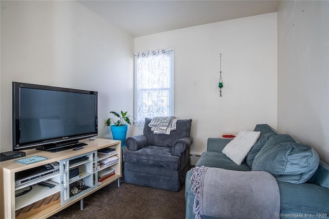 26 Columbia St, Ansonia, CT 06401 - living room with a baseboard radiator and carpet