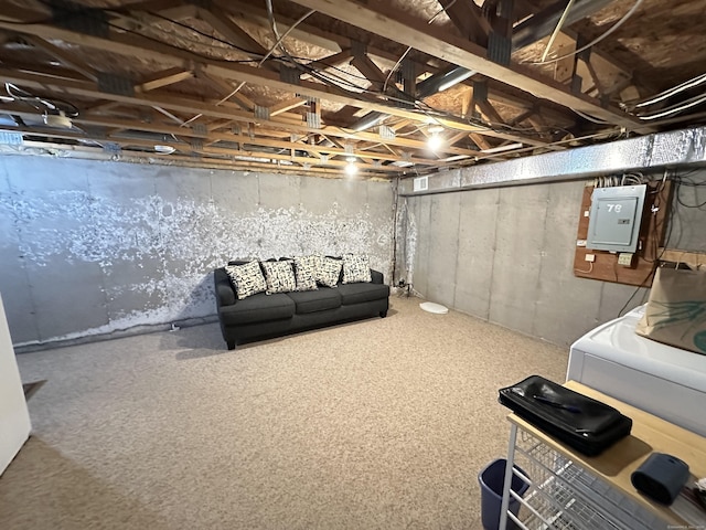 unfinished below grade area featuring electric panel