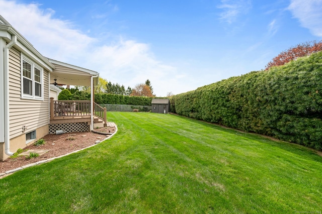 view of yard featuring an outbuilding, a ceiling fan, a wooden deck, and a storage shed