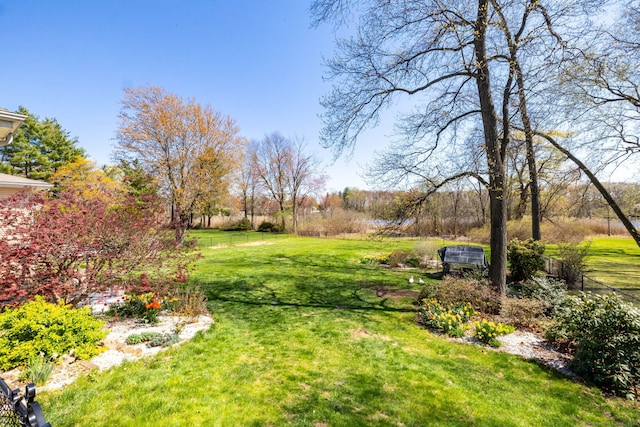 view of yard