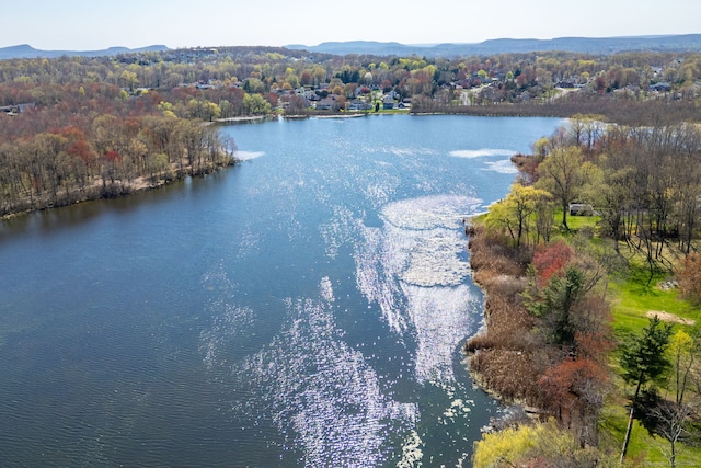 birds eye view of property featuring a water and mountain view and a wooded view