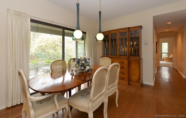 dining room featuring wood finished floors and baseboards