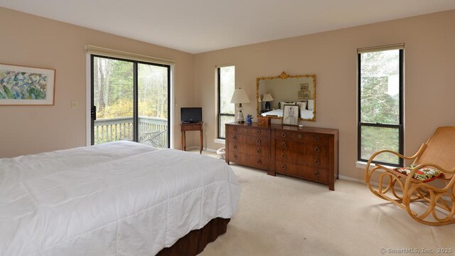 bedroom with baseboards, access to exterior, and carpet