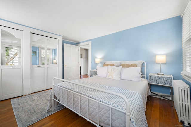 bedroom with radiator heating unit, hardwood / wood-style floors, and multiple windows