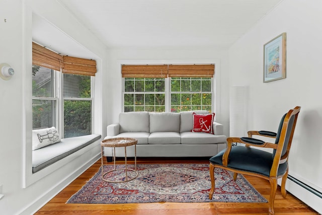 16 N Main St, Essex, CT 06426 - living room featuring a baseboard heating unit and wood finished floors
