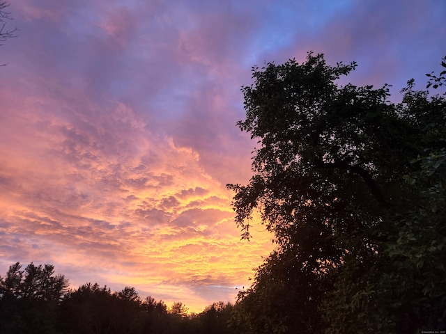 view of nature at dusk
