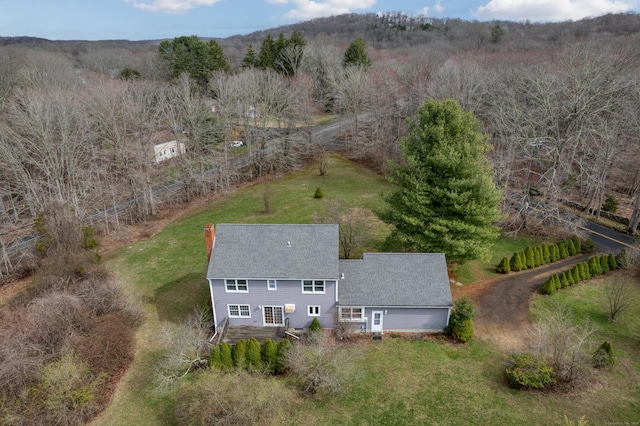 drone / aerial view