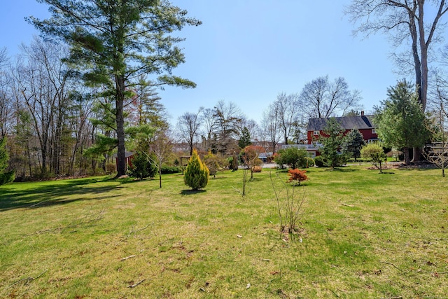 view of yard